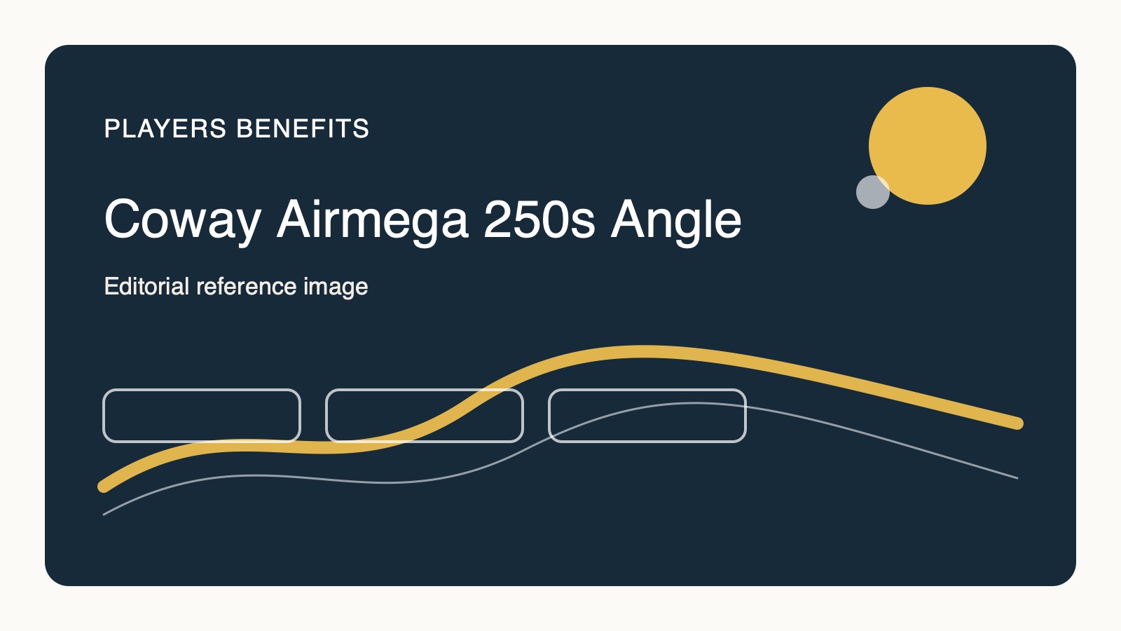 Coway Airmega 250S air purifier angle view