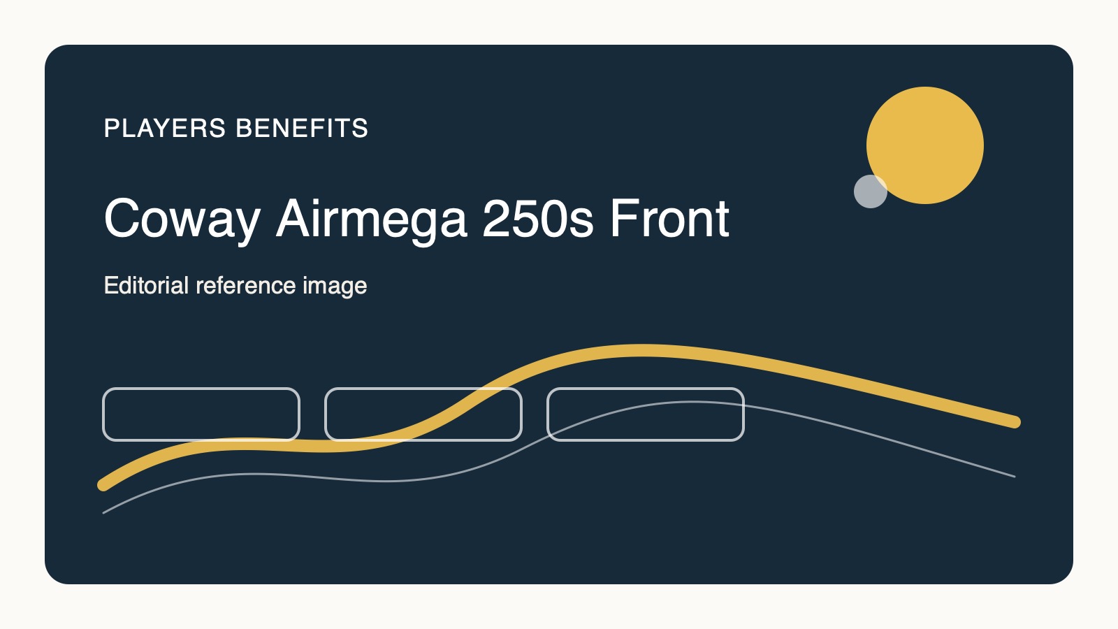 Coway Airmega 250S air purifier front view