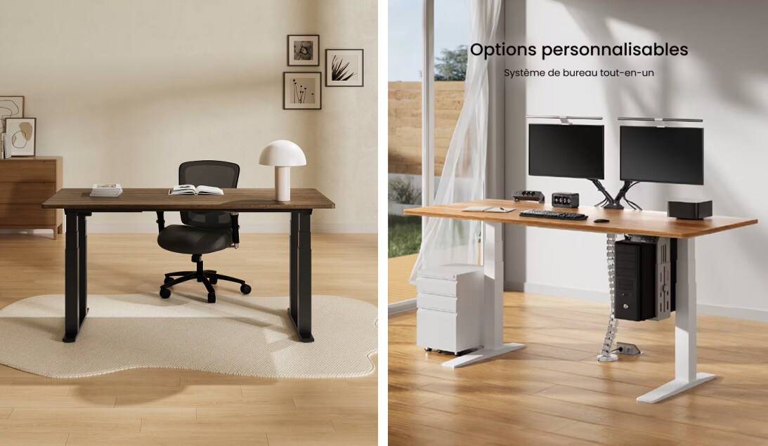 FlexiSpot E7 Plus four-leg standing desk for heavy monitor setups