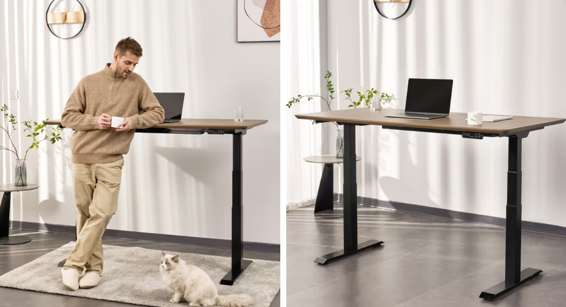FlexiSpot E7 Pro standing desk configured for a home office